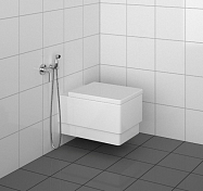 Гигиенический душ Kludi Bozz 389990576 со смесителем , изображение 5