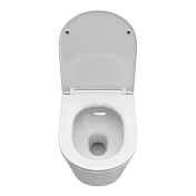 Унитаз подвесной BelBagno Tre-Tor BB5180CH-TOR/SC , изображение 6