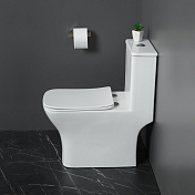 Унитаз-моноблок BelBagno Neon BB8617CPR-MN/SC , изображение 8