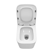 Унитаз подвесной BelBagno Due-Tor BB5171CH-TOR/SC , изображение 14