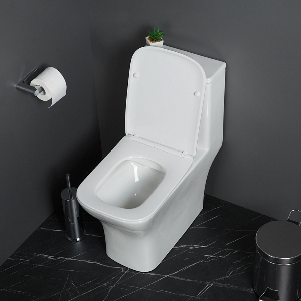 Унитаз-моноблок BelBagno Neon BB8617CPR-MN/SC , изображение 7
