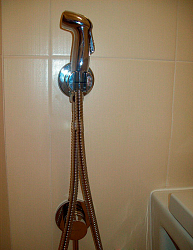 Фото Гигиенический душ Kludi Bozz 389990576 со смесителем