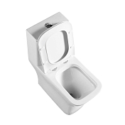 Унитаз-моноблок BelBagno Neon BB8617CPR-MN/SC , изображение 2
