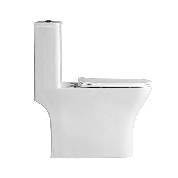 Унитаз-моноблок BelBagno Neon BB8617CPR-MN/SC , изображение 3