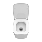 Унитаз подвесной BelBagno Due-Tor BB5171CH-TOR/SC , изображение 8