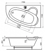Акриловая ванна Ravak Asymmetric 170х110 R , изображение 4